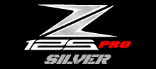 Silver Kawasaki Z125 Graphics